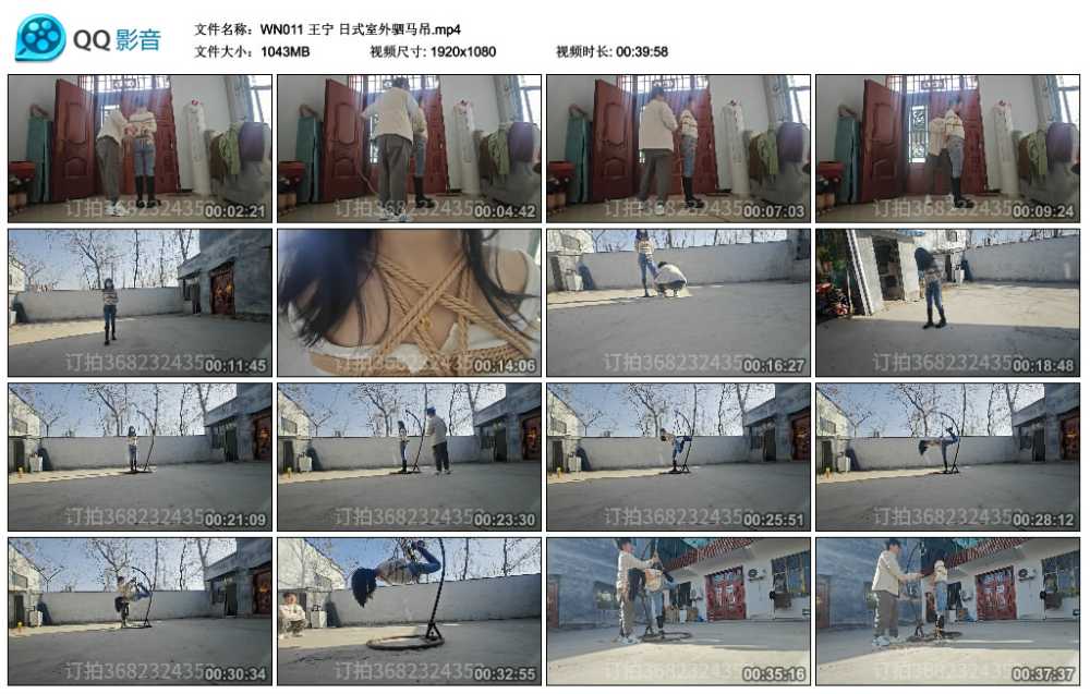 王宁 日式室外驷马吊视频下载