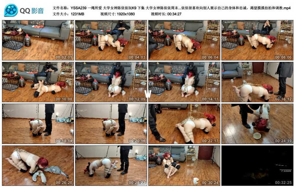 一绳所爱 大学女神陈依依玩K9 下集 大学女神陈依依周末休息的时候，来工作室撸猫，...