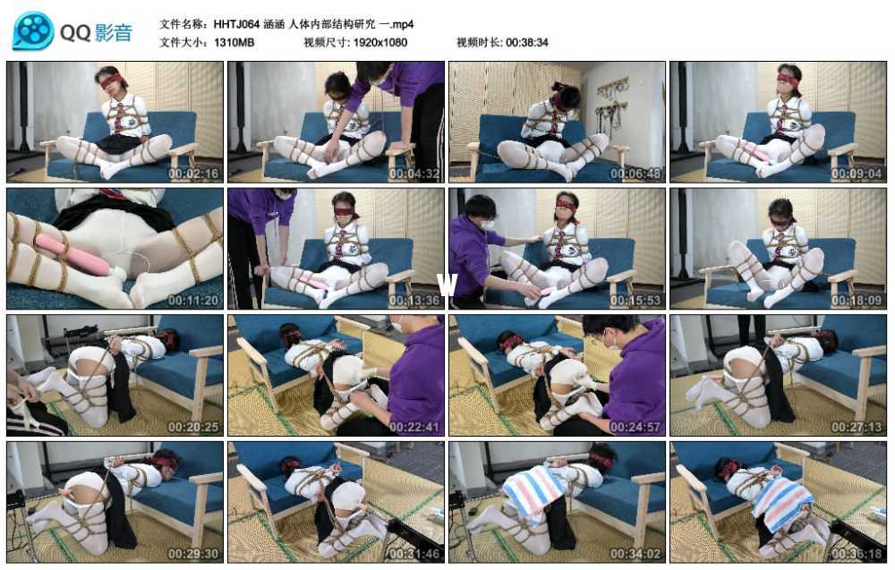 涵涵特辑 人体内部结构研究 一