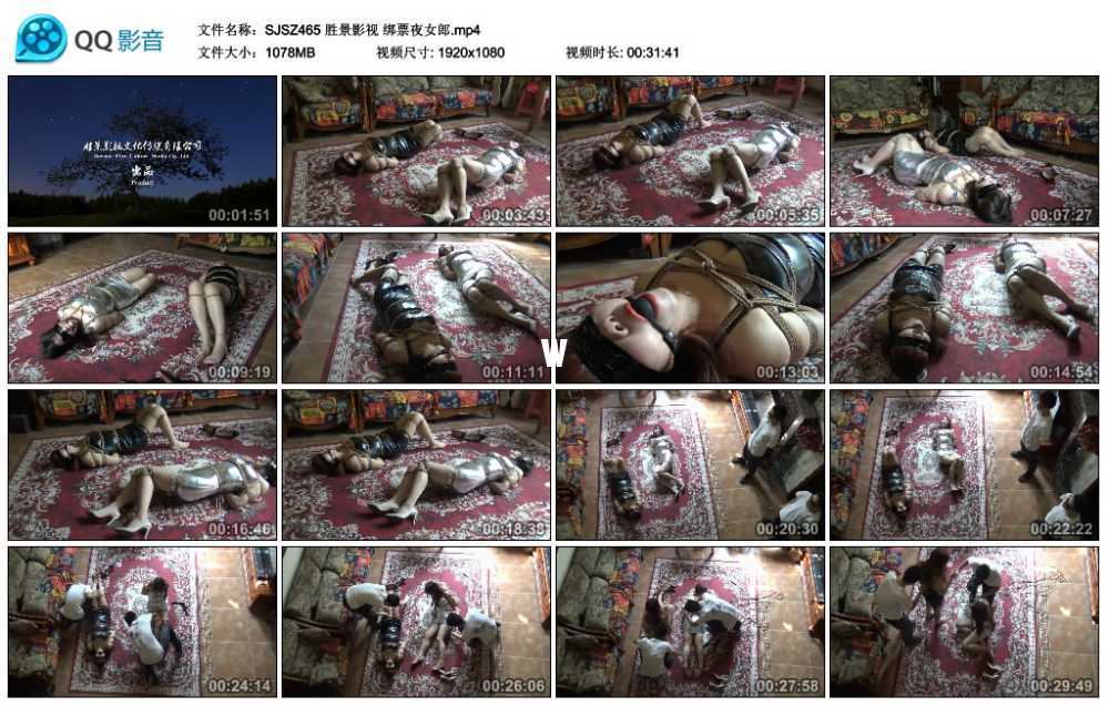 胜景影视 绑票夜女郎