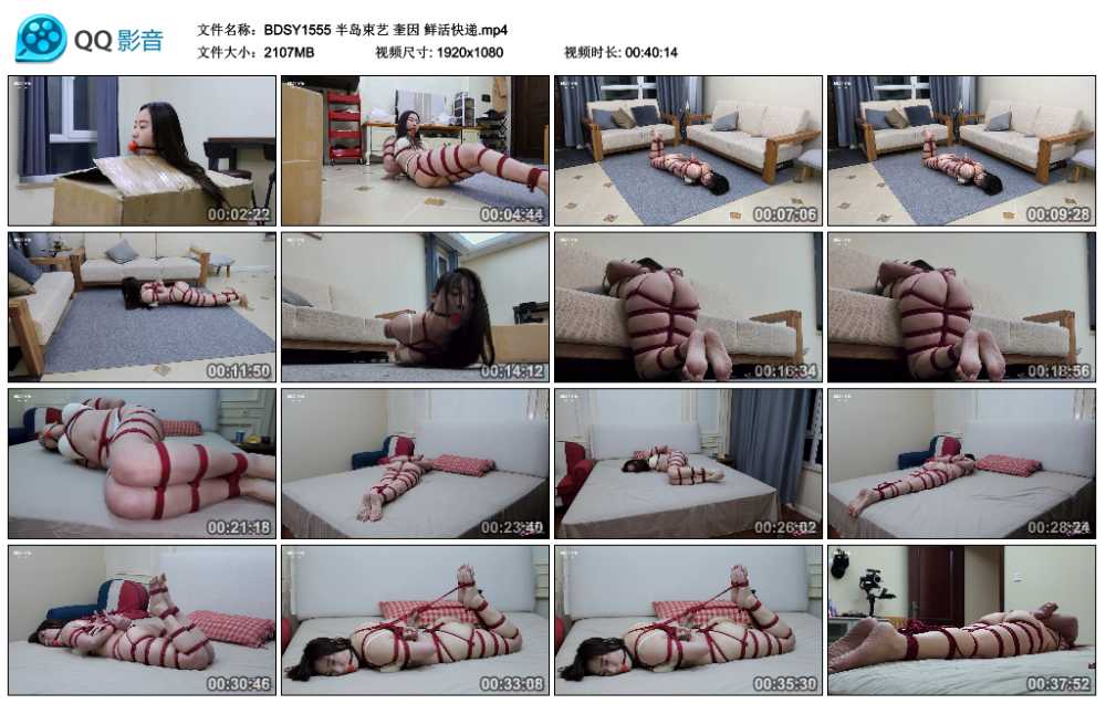 半岛束艺 奎因 鲜活快递