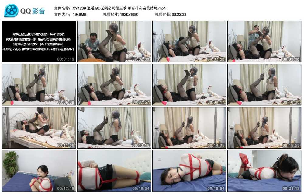 逍遥 BD无限公司第三季 哪有什么完美结局