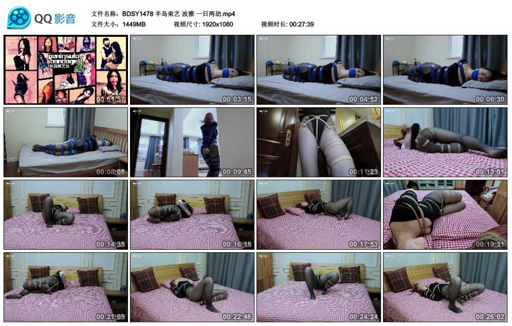 半岛束艺 波雅 一日两劫