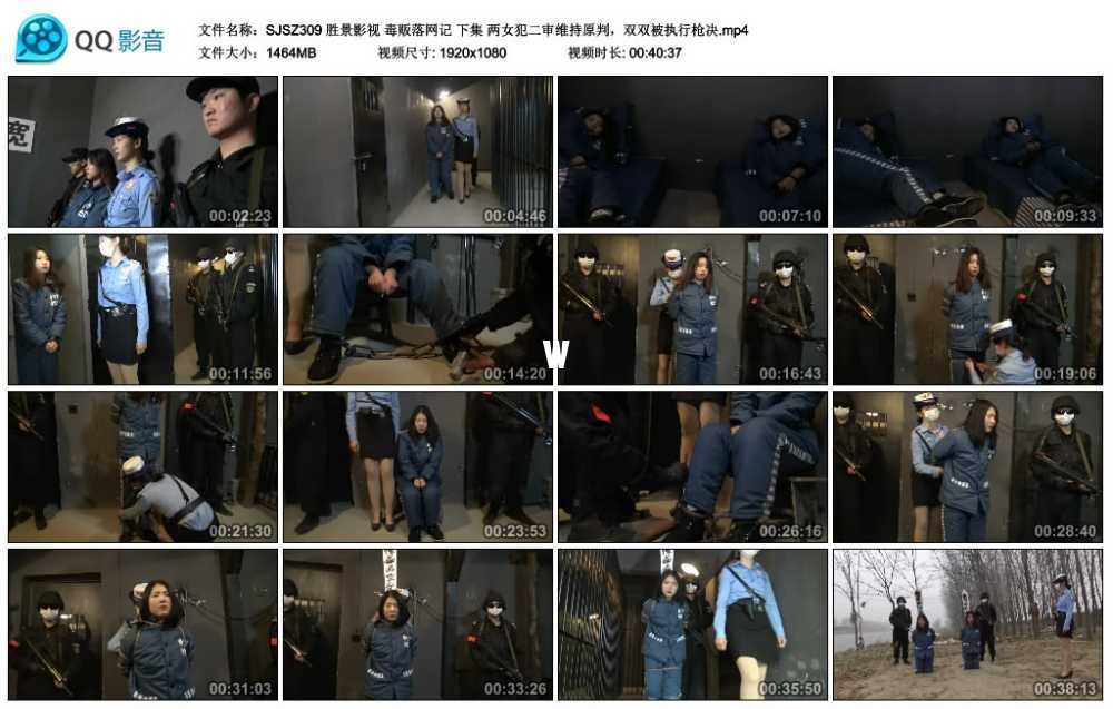 胜景影视 毒贩落网记 下集 两女犯二审维持原判，双双被执行枪决