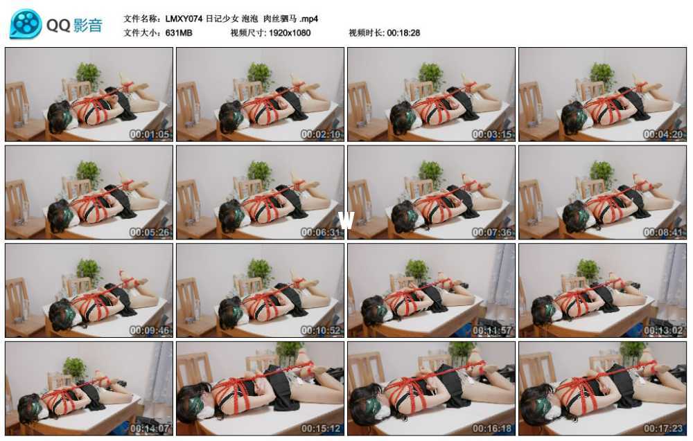 LMXY 日记少女 泡泡  肉丝驷马