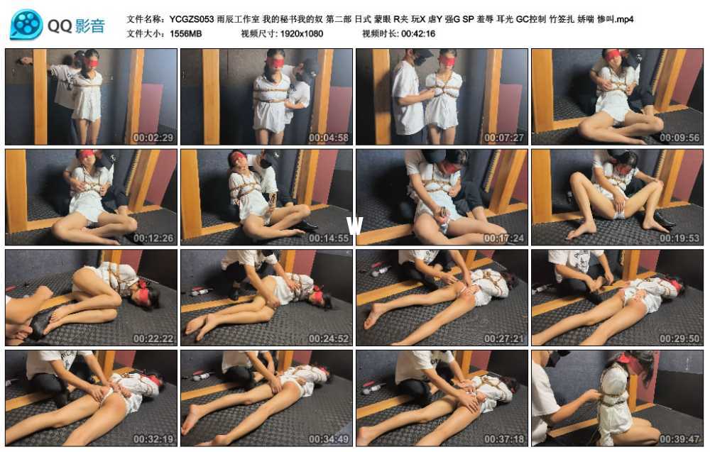 雨辰工作室 我的秘书我的奴 第二部 日式 蒙眼 R夹 玩X 虐Y 强G SP 羞辱 耳光 GC控...