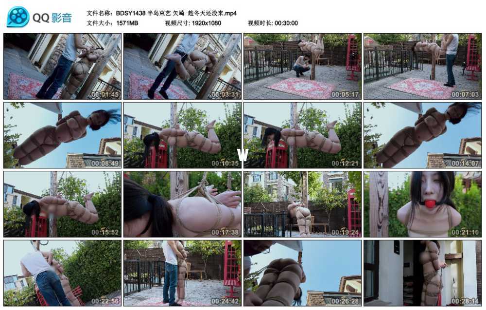 半岛束艺 矢崎  趁冬天还没来
