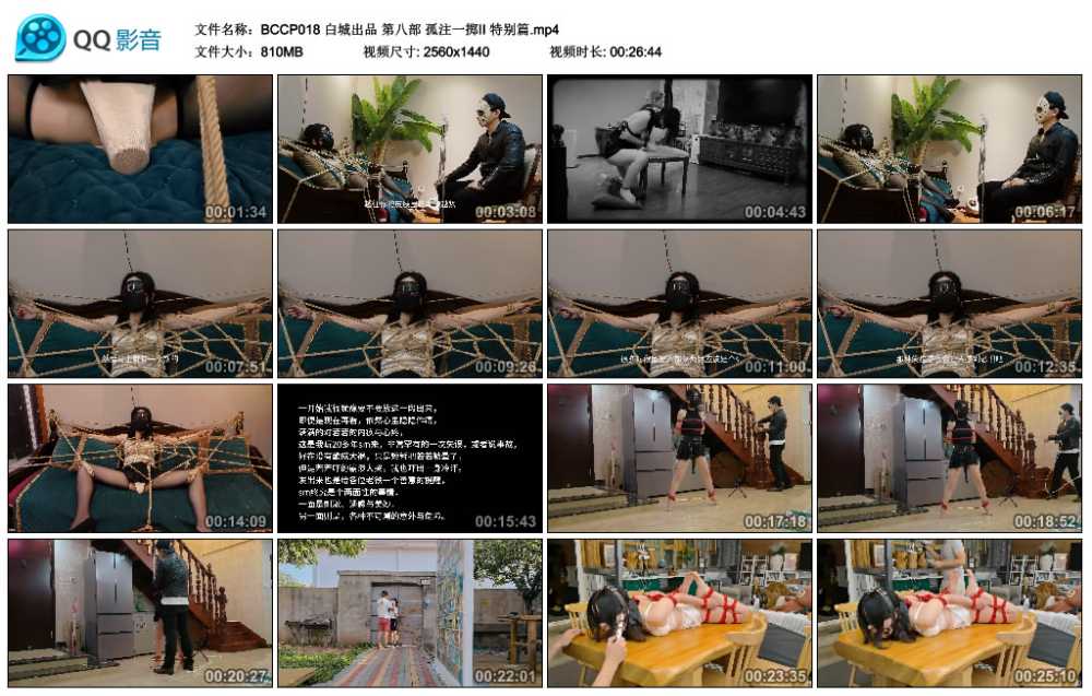 白城出品 第八部 孤注一掷II 特别篇