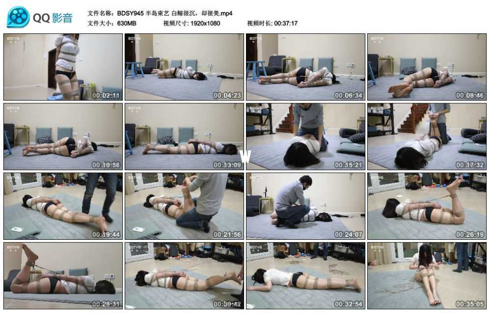 半岛束艺 白鲸很沉，却很美视频下载