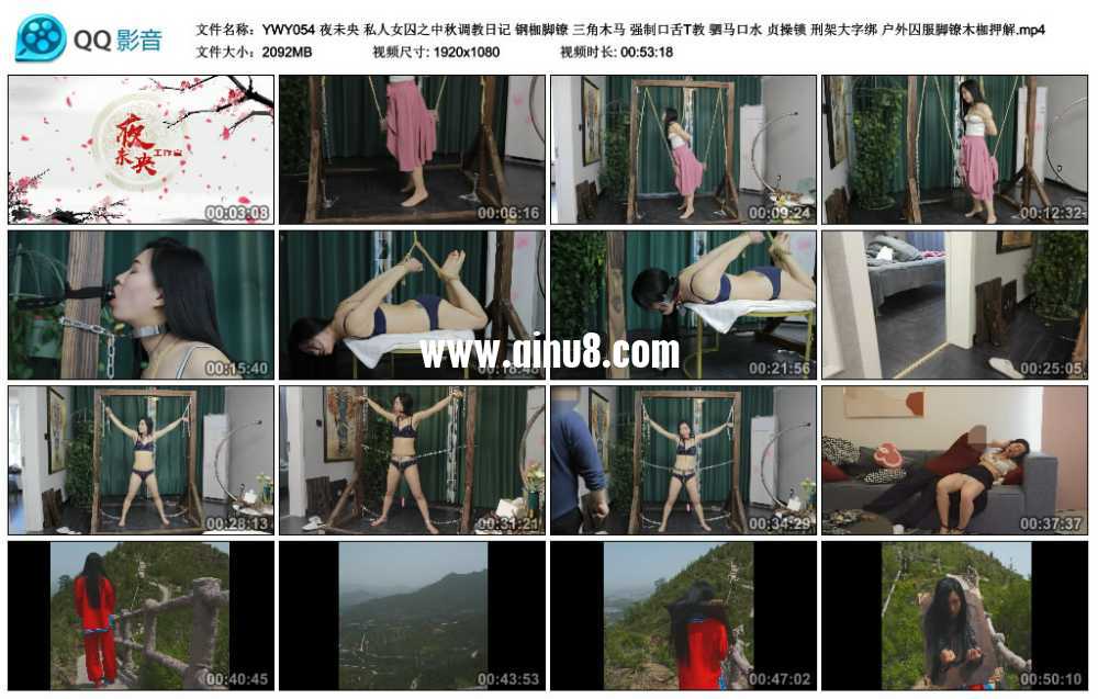夜未央 私人女囚之中秋调教日记 钢枷脚镣 三角木马 强制口舌T教 驷马口水 贞操锁 ...