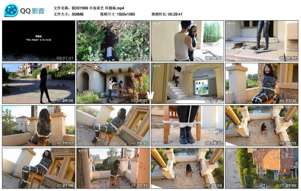 半岛束艺 环渤海视频下载