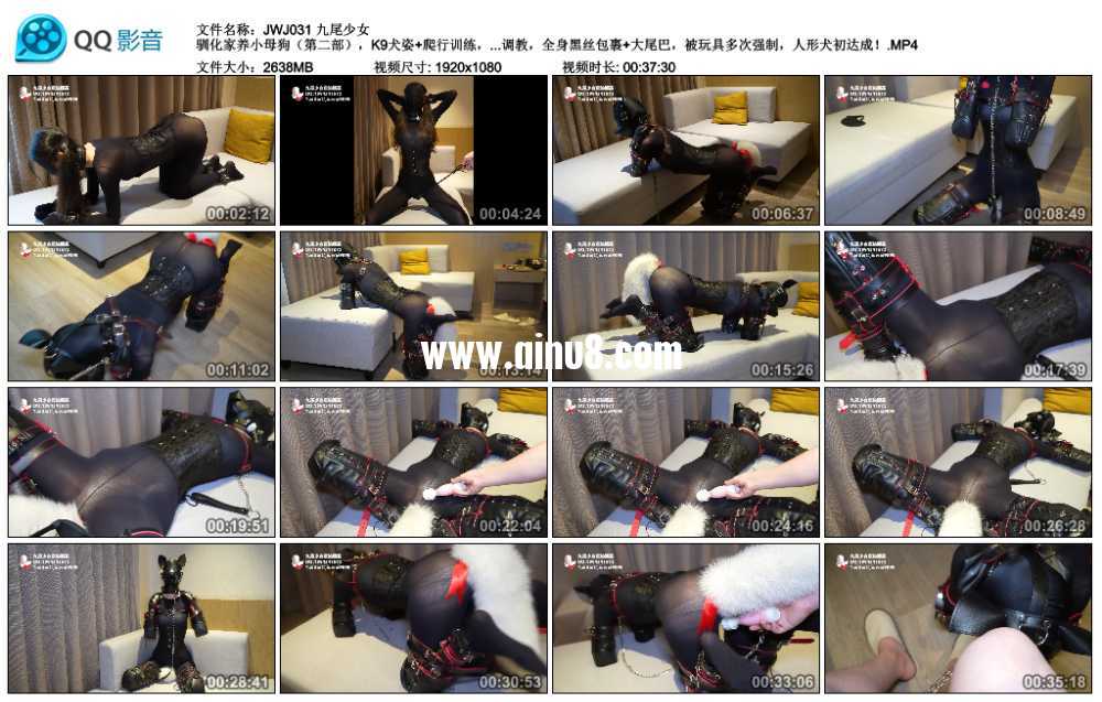 九尾少女 驯化家养小母狗（第二部），K9犬姿+爬行训练，K9套装束缚调教，全身黑丝...