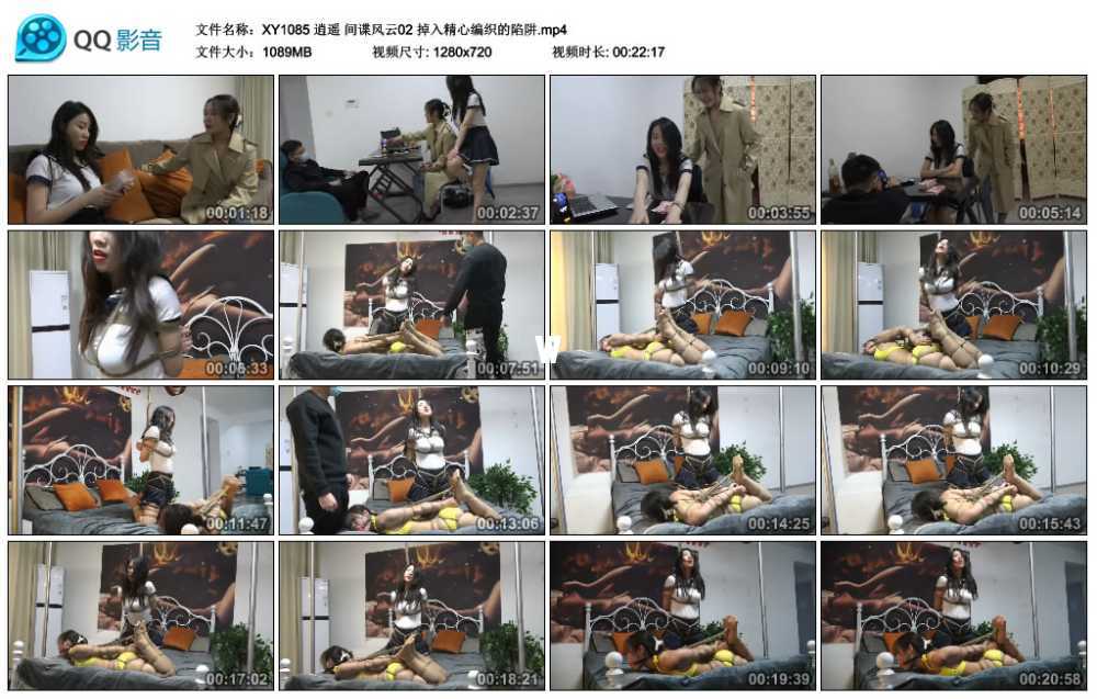 逍遥 间谍风云02 掉入精心编织的陷阱视频下载