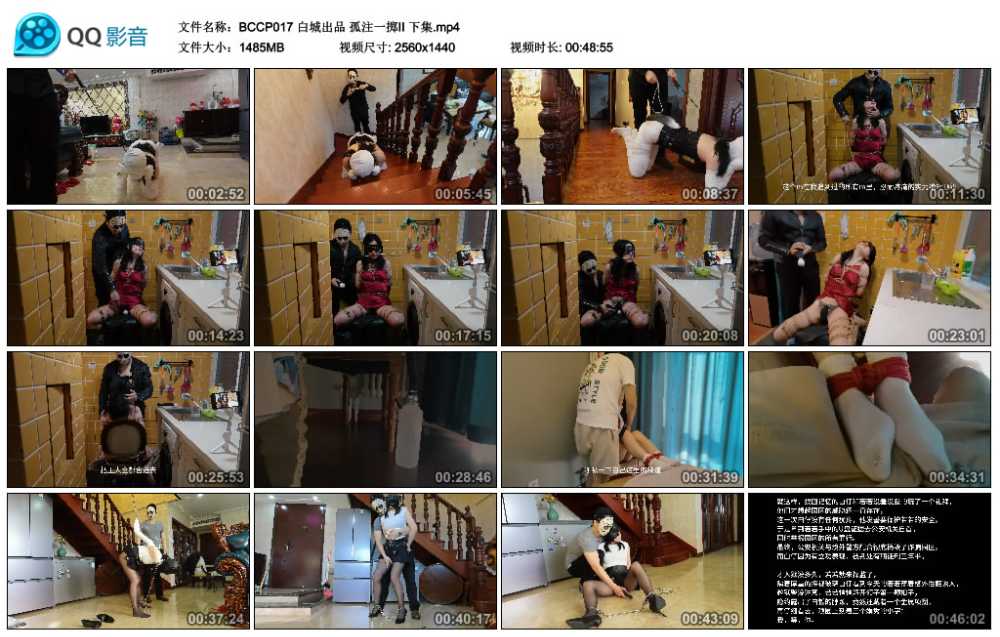 白城出品 孤注一掷II 下集