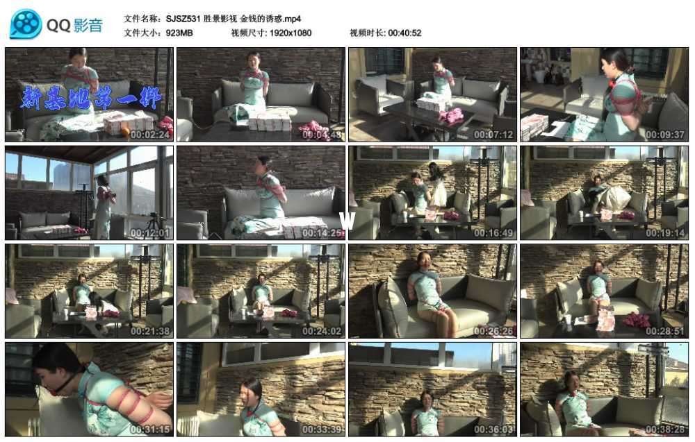 胜景影视 金钱的诱惑