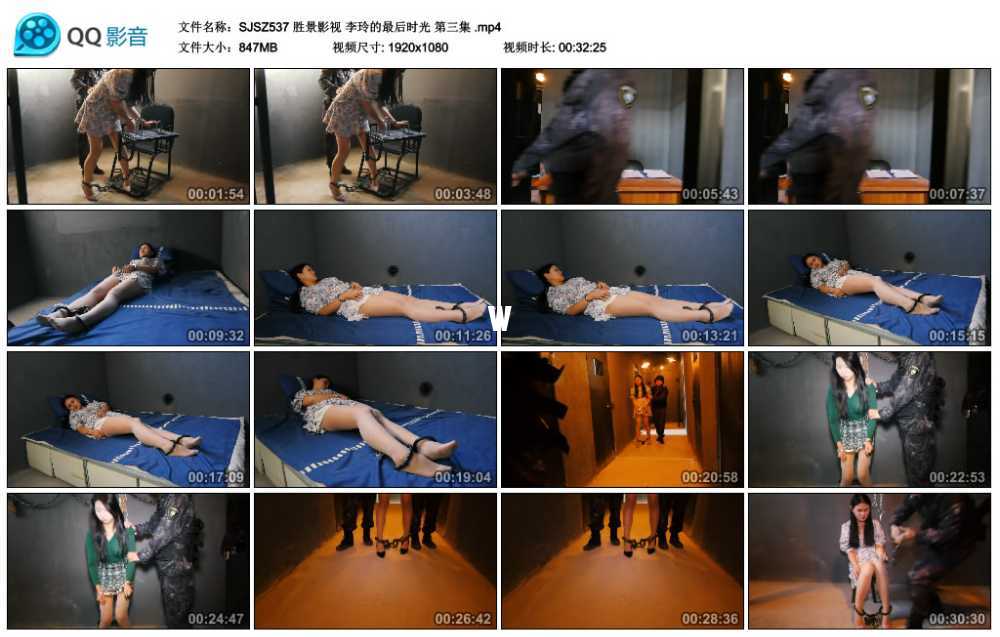 胜景影视 李玲的最后时光 第三集