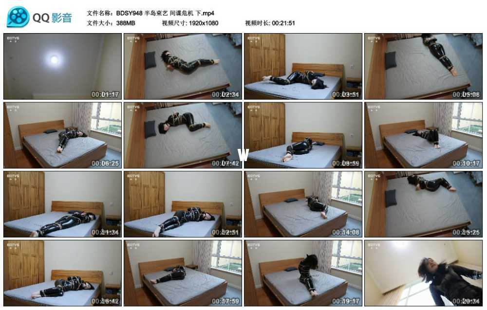 半岛束艺 间谍危机 下视频下载