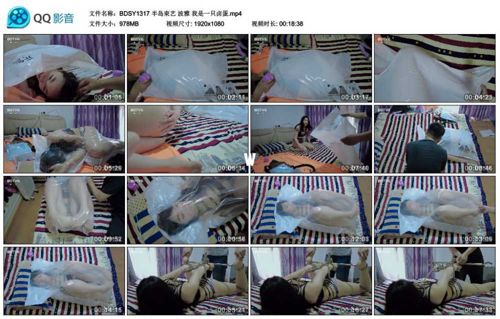 半岛束艺 波雅 我是一只卤蛋视频下载