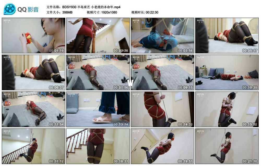 半岛束艺 小老虎的本命年视频下载
