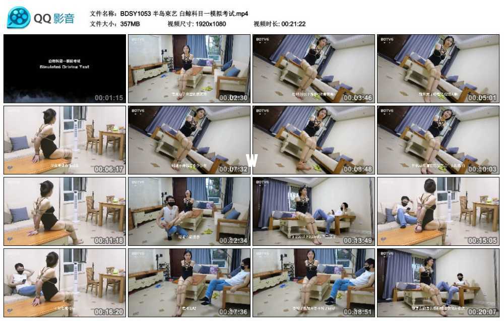 半岛束艺 白鲸科目一模拟考试视频下载
