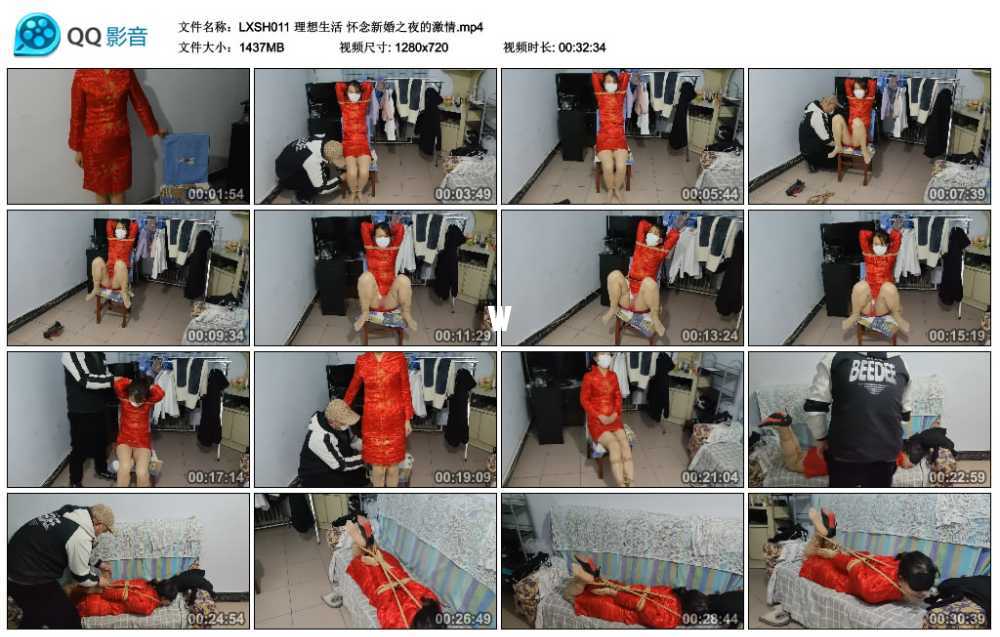 理想生活 怀念新婚之夜的激情视频下载