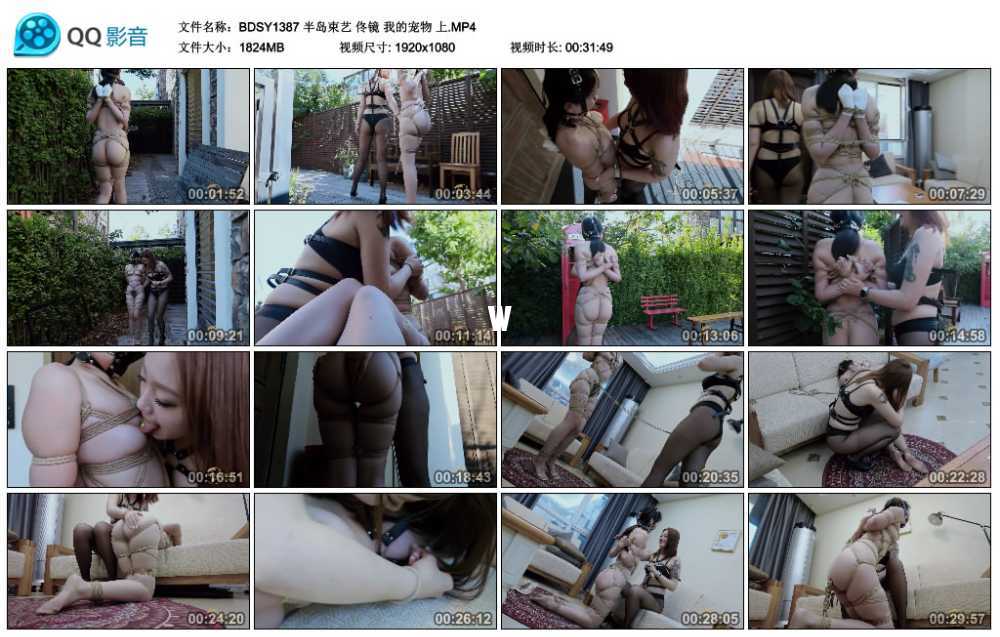半岛束艺 佟镜 我的宠物 上