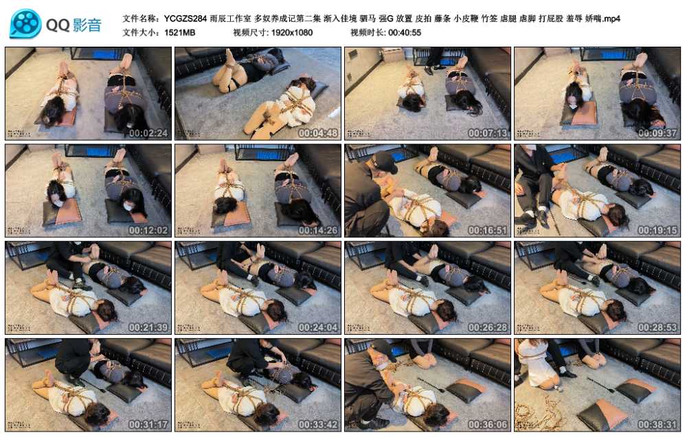 雨辰工作室 多奴养成记第二集 渐入佳境 驷马 强G 放置 皮拍 藤条 小皮鞭 竹签 虐腿...