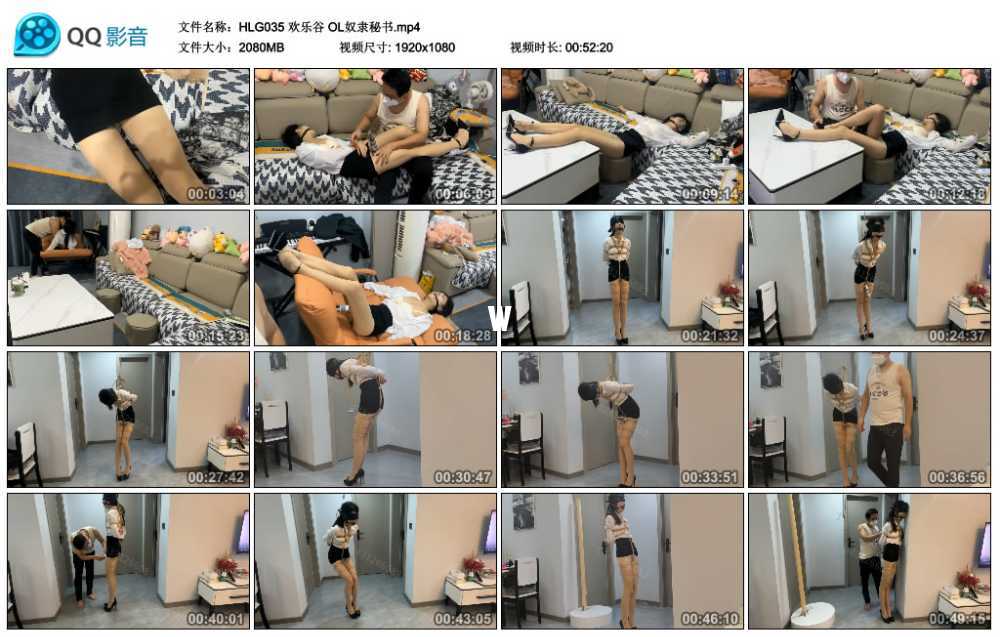 欢乐谷 OL奴隶秘书