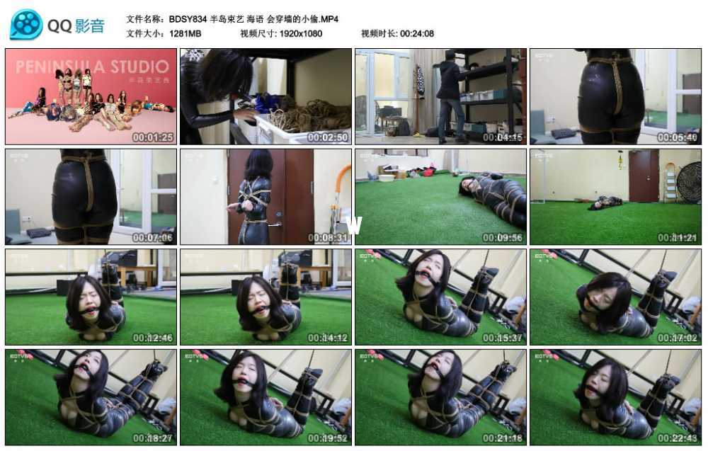 半岛束艺 海语 会穿墙的小偷 半岛束艺 海语 会穿墙的小偷