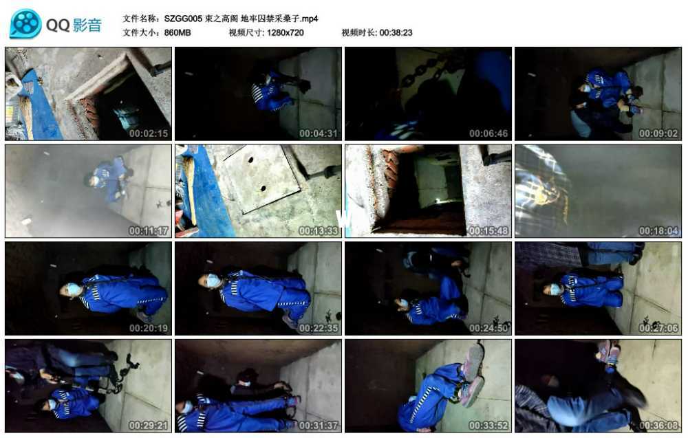 束之高阁 地牢囚禁采桑子视频下载
