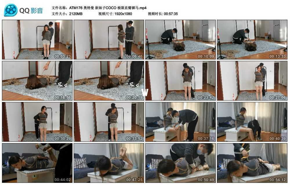 奥特曼 新妹子COCO 极限直臂驷马