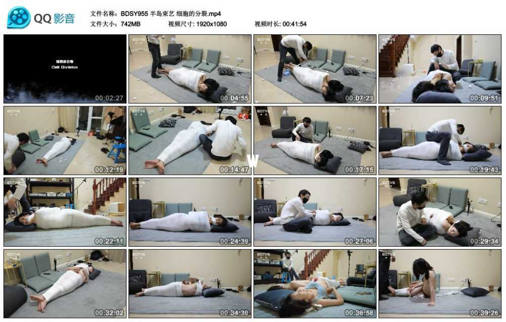 半岛束艺 细胞的分裂视频下载