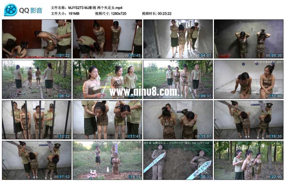 MJ影视 两个失足女 视频+套图