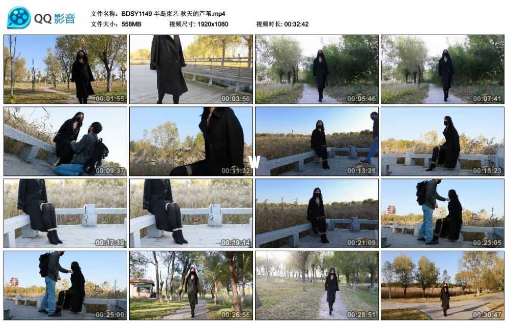 半岛束艺 秋天的芦苇