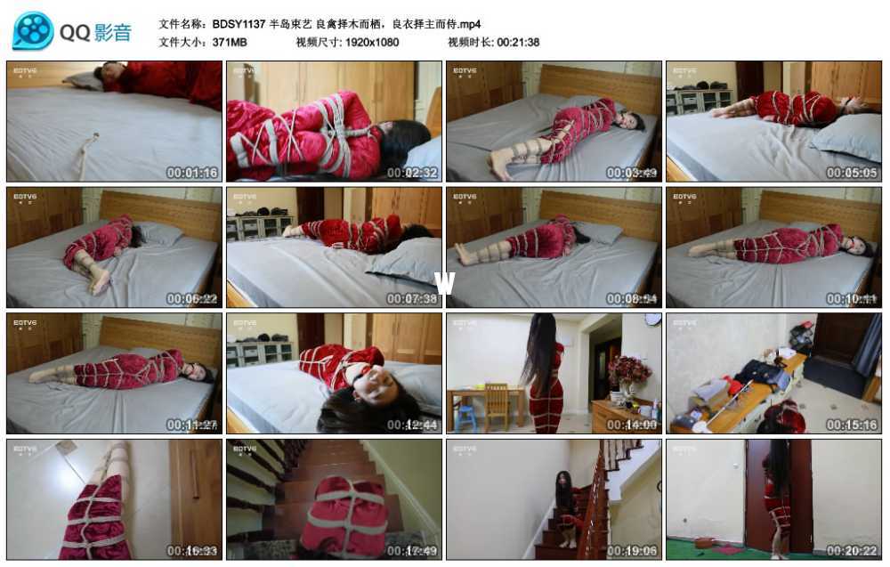 半岛束艺 良禽择木而栖，良衣择主而侍