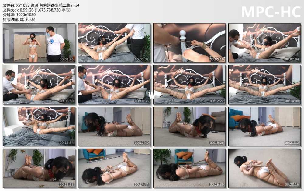 逍遥 羞羞的铁拳 第二集