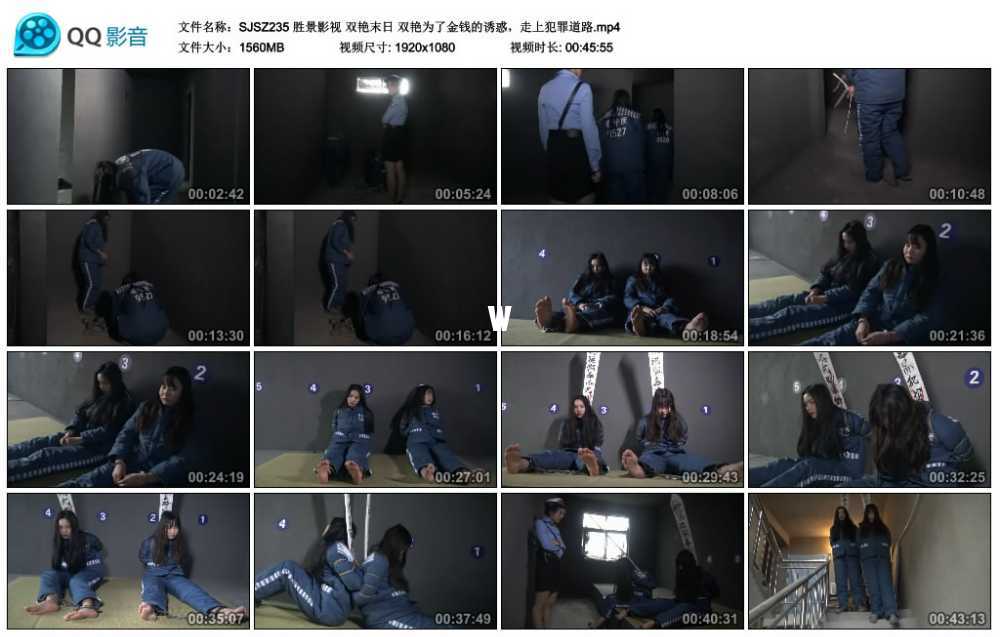 胜景影视 双艳末日 双艳为了金钱的诱惑，走上犯罪道路