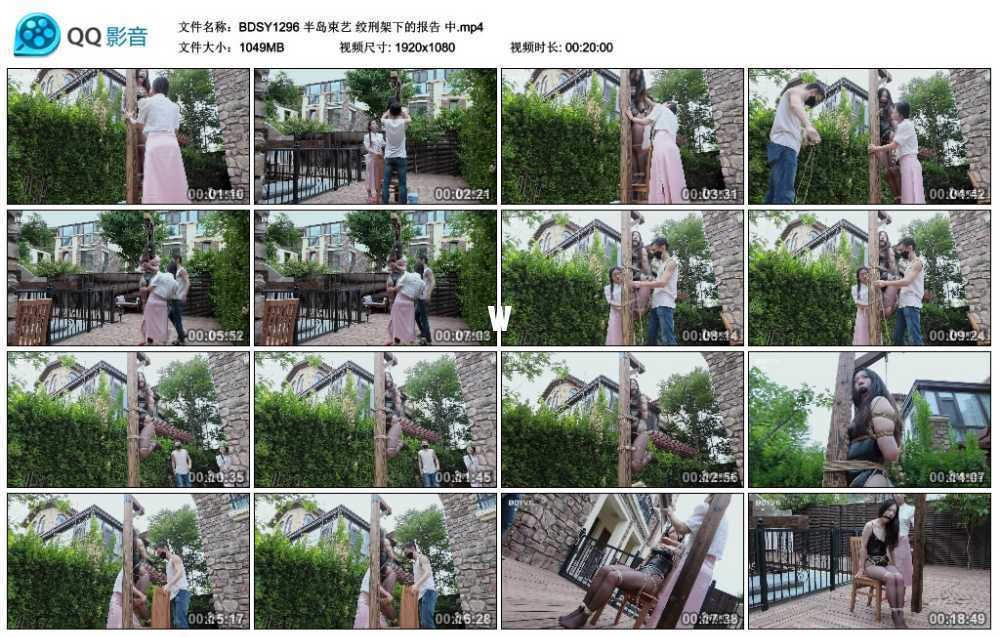半岛束艺 绞刑架下的报告 中
