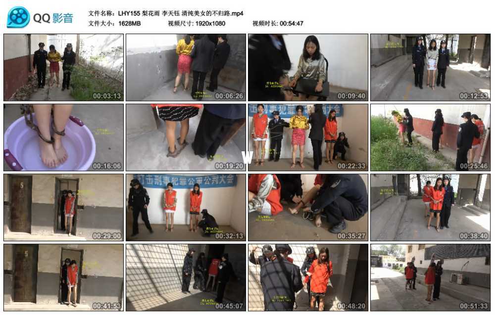 梨花雨 李天钰 清纯美女的不归路