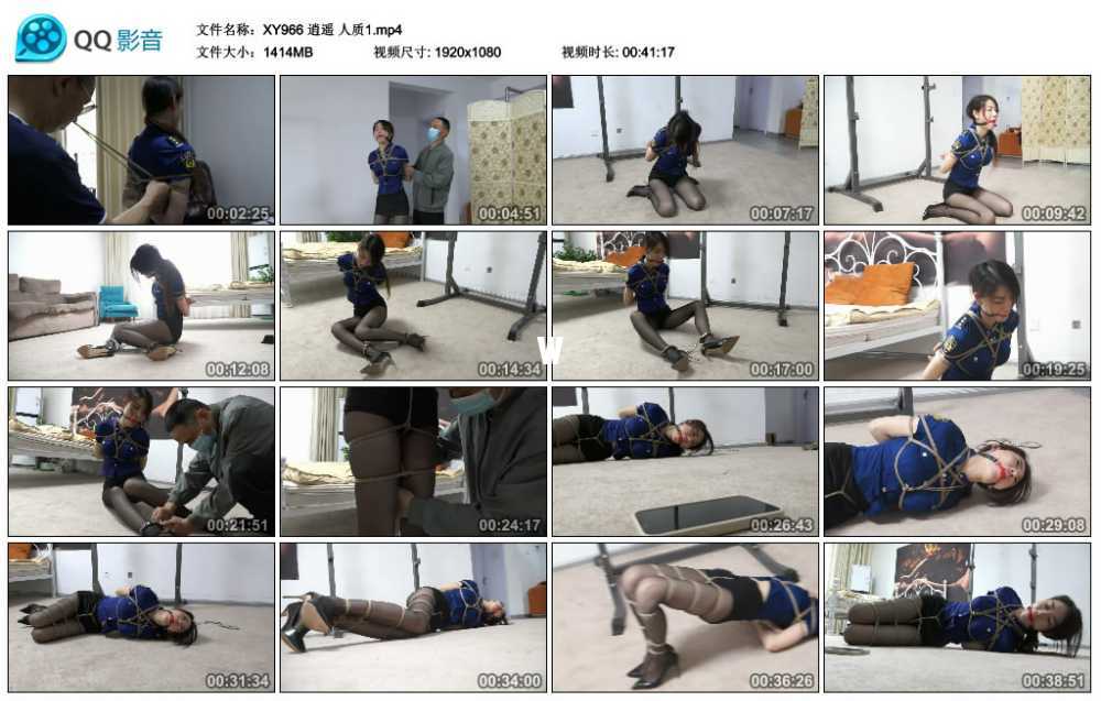 逍遥 人质1视频下载