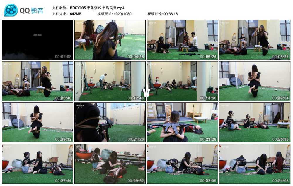 半岛束艺 半岛民兵视频下载