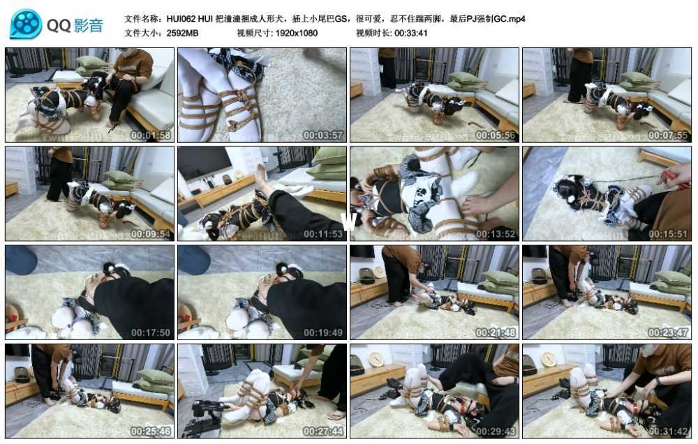 HUI 把潼潼捆成人形犬，插上小尾巴GS，很可爱，忍不住踹两脚，最后PJ强制GC