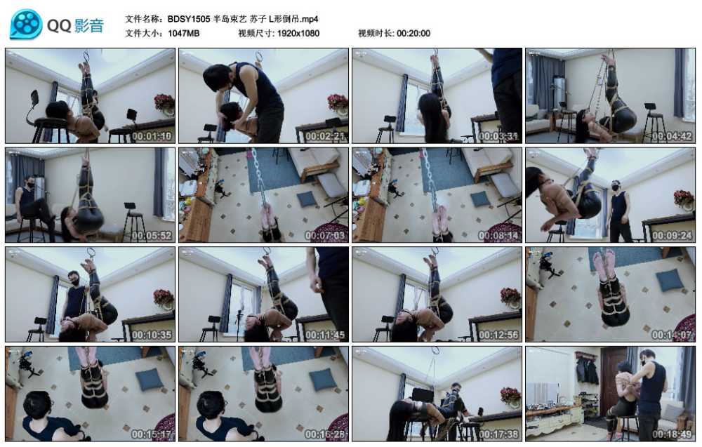 半岛束艺 苏子 L形倒吊