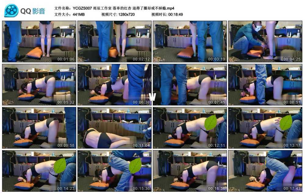 雨辰工作室 落单的红杏 退得了圈却戒不掉瘾