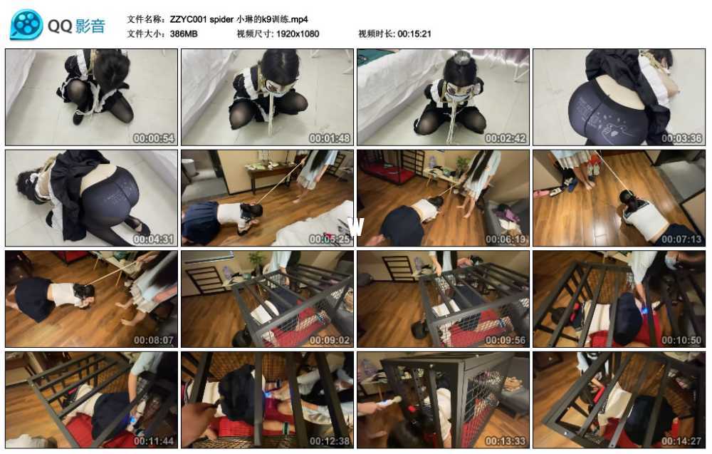 spider 小琳的k9训练视频下载