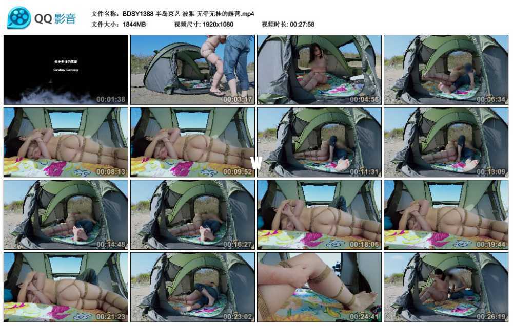 半岛束艺 波雅 无牵无挂的露营