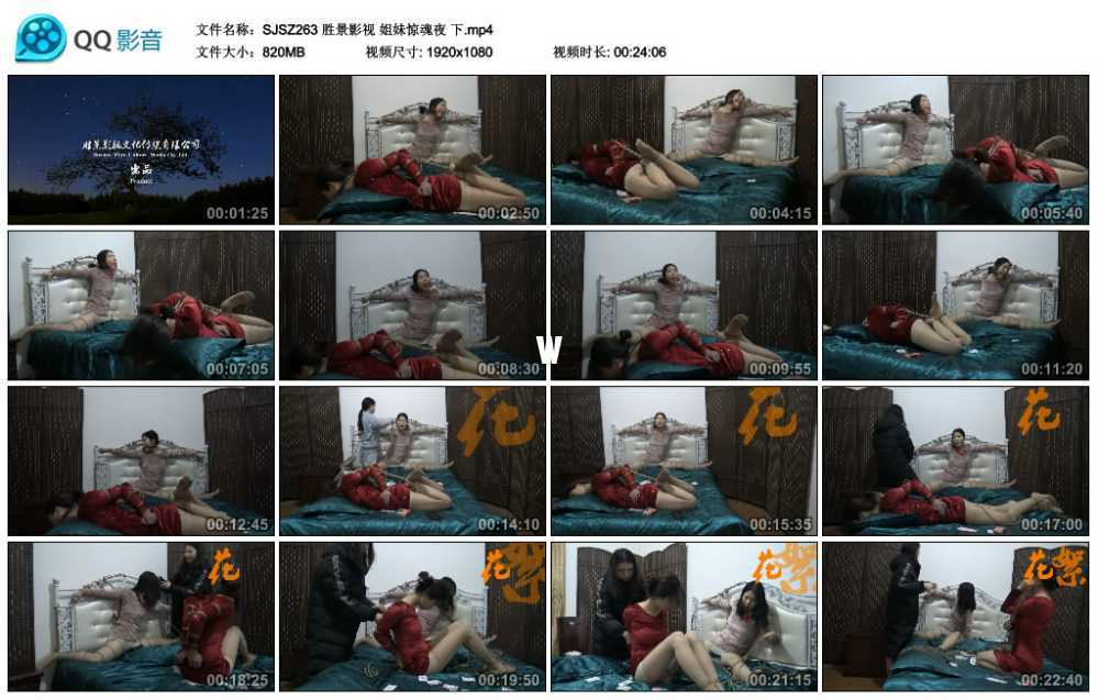 胜景影视 姐妹惊魂夜 下
