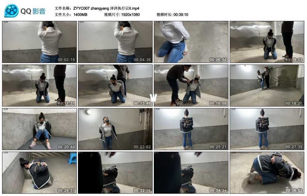 zhangyang 洋洋执行记Ⅱ