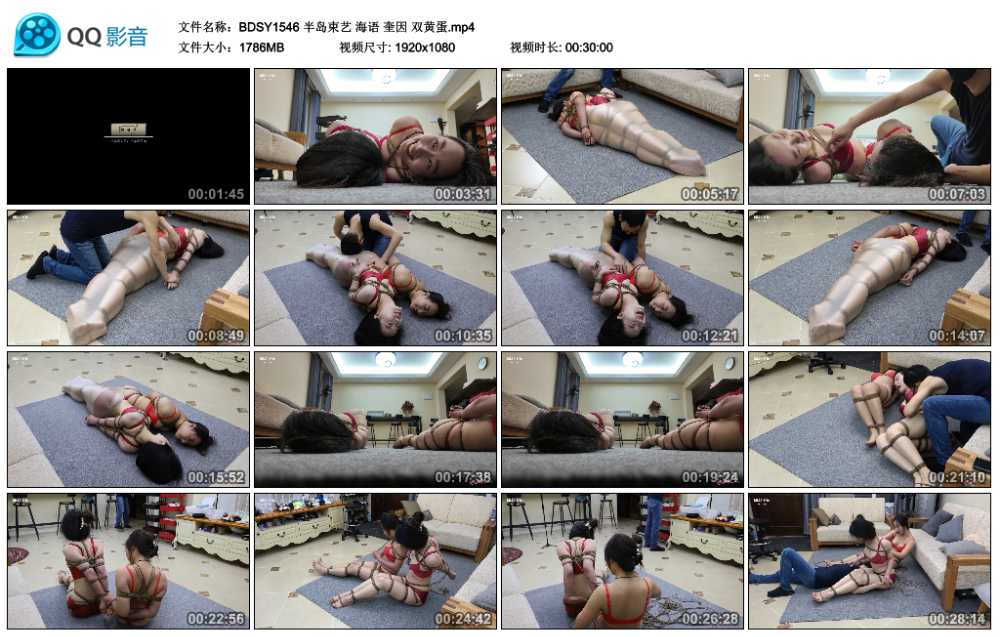 半岛束艺 海语 奎因 双黄蛋