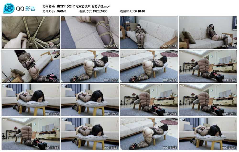 半岛束艺 矢崎 强势求绑视频下载